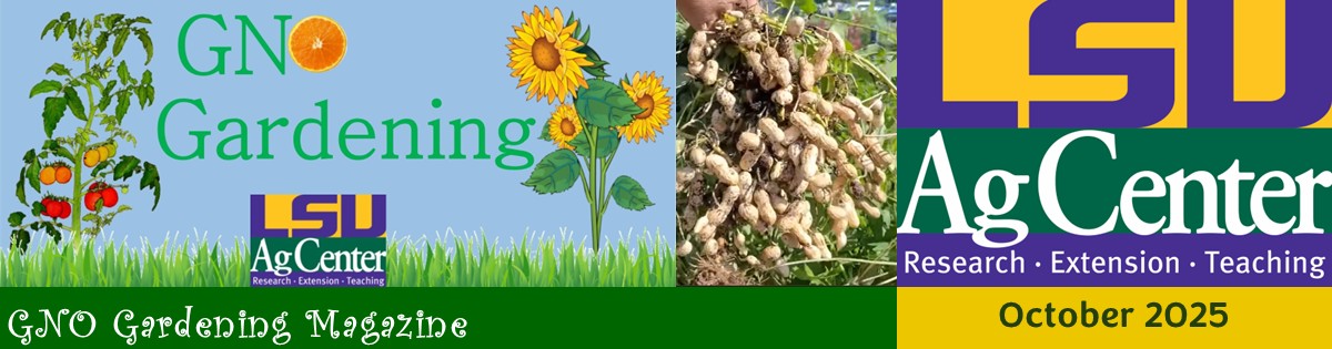 GNO Gardening Magazine - October 2025